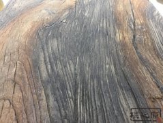 黄瓜视频IOS免费观看版水泥仿木纹